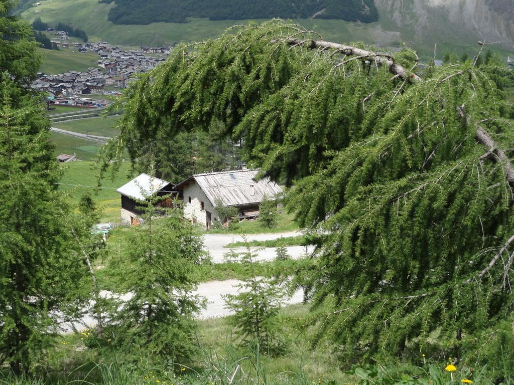 Hotel Marzia Livigno Exteriör bild